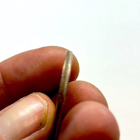 1979 Susan B Anthony Liberty FG Frank Gasparro Mint P 1 DOLLAR U.S. Coin - Picture 5 of 5